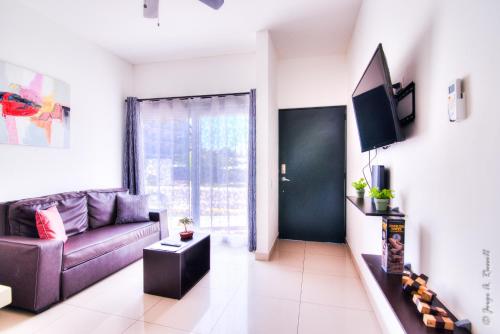 雅科Jaco Modern & Beach Apartment - Lapa Living A1的带沙发和电视的客厅