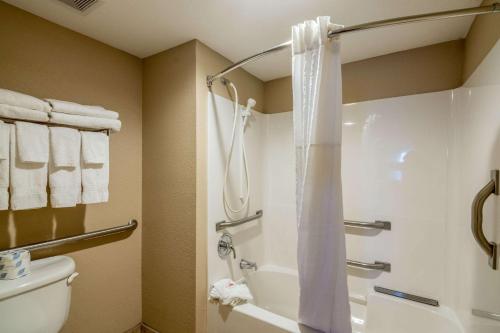 巴拿马城海滩巴拿马城市海滩康福特套房酒店的带淋浴和卫生间的浴室