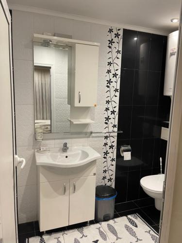 瓦尔纳Ivet Guest rooms的一间带水槽、卫生间和镜子的浴室