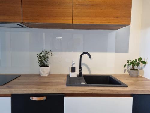 罗兹Apple Apartments - Gdańska PRYWATNE MIEJSCE PARKINGOWE的厨房配有水槽和木制台面