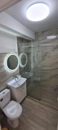 德瓦Belvedere Delux Apartment的浴室配有卫生间、淋浴和盥洗盆。