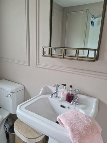 TyrrellspassThe Little White House的浴室水槽配有镜子和粉红色毛巾