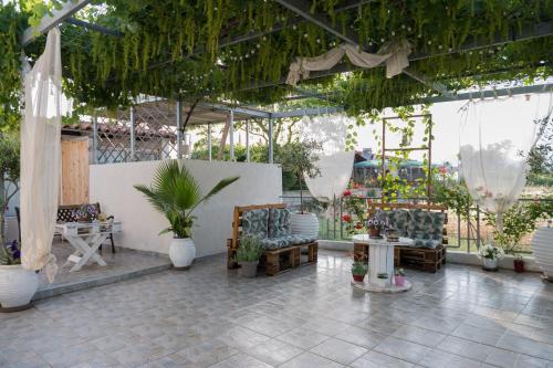 新基奥斯Sea View Residence的温室里种有椅子和植物的庭院