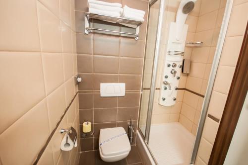 博扎瓦马克西姆酒店的一间带卫生间和淋浴的小浴室