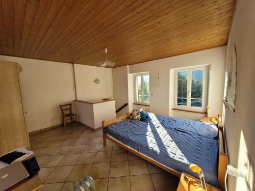 BrenoCasa Hürlimann的一间卧室设有一张床和木制天花板