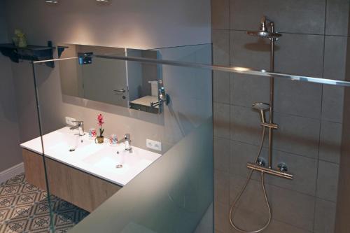 德帕内vakantiehuis-oyenkerke 2的一间带水槽和淋浴的浴室