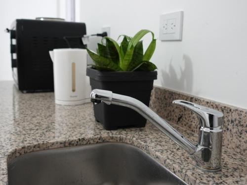 萨尔塔Urquiza的厨房水槽配有水龙头和植物