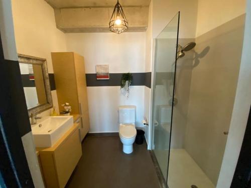 圣胡安KASA Skyview Luxury Loft Style 15th floor Condo的浴室配有卫生间、盥洗盆和淋浴。