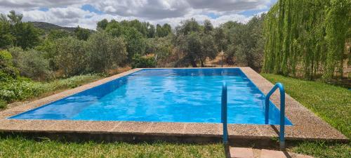 GuadalcanalCasa rural Arroyo Marco的绿树成荫的蓝色游泳池