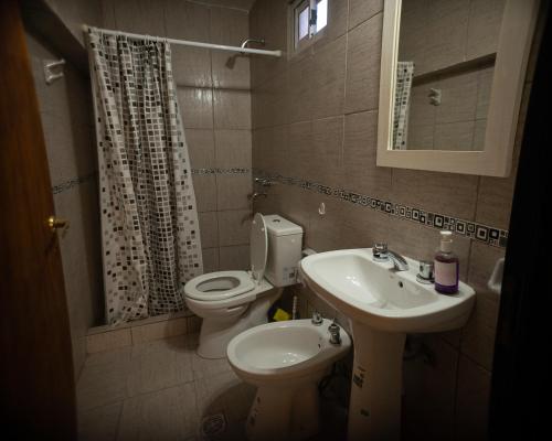 内乌肯Departamentos Confluencia的一间带卫生间和水槽的小浴室