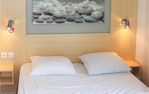 曲马勒姆Gorgeous Home In Tzummarum With Kitchen的床上有两张枕头,上面有画