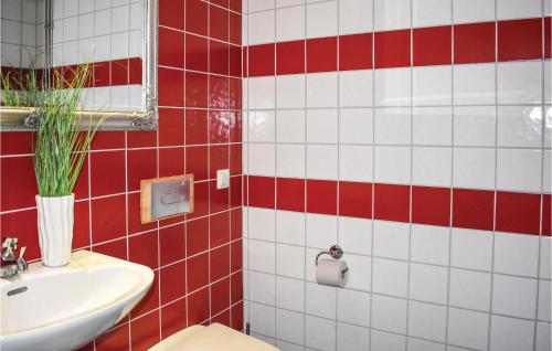 维默比1 Bedroom Awesome Home In Vimmerby的铺有红色和白色瓷砖的浴室设有卫生间和水槽