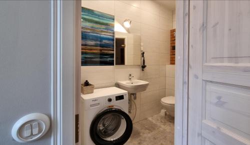 派尔努Aia Center Apartment with sauna的一间带洗衣机和水槽的浴室