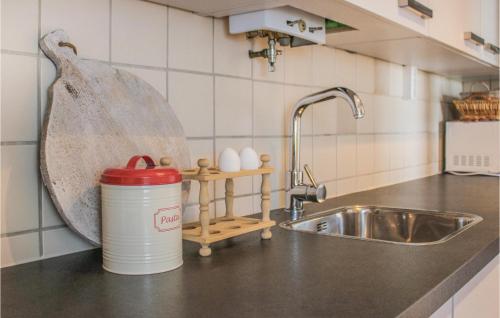 KollumerpompNice Apartment In Kollumerpomp With Wifi的一个带水槽和柜台上的罐子的厨房
