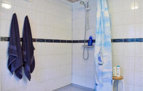 韦斯特维克Stunning Home In Vstervik With Kitchen的浴室设有蓝色和白色瓷砖淋浴。