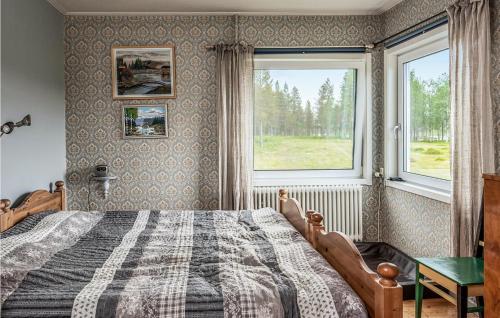 阿尔维斯尧尔2 Bedroom Gorgeous Home In Arvidsjaur的一间卧室设有一张大床和一个窗户。