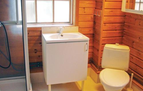 特鲁萨Lovely Home In Trosa With House Sea View的一间带水槽和卫生间的浴室