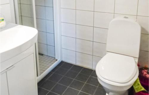 KittelfjällCozy Home In Dikans With Kitchen的浴室配有白色卫生间和盥洗盆。