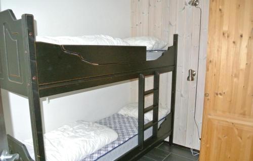 Awesome Apartment In Hemsedal With Sauna客房内的一张或多张双层床
