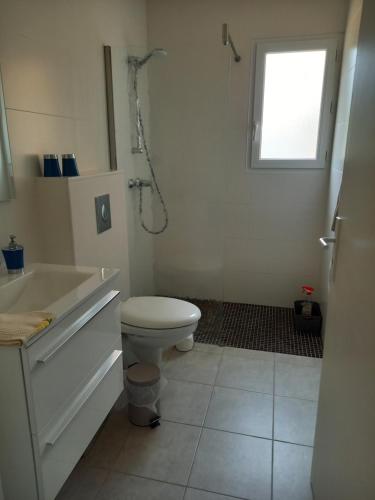 菲加里hébergement figari的浴室配有卫生间、盥洗盆和淋浴。