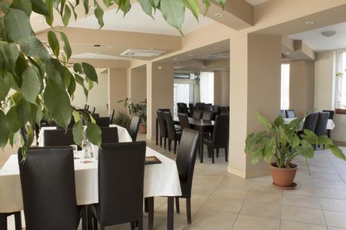 弗洛雷什蒂Pensiunea Vidcom的用餐室配有桌椅和植物