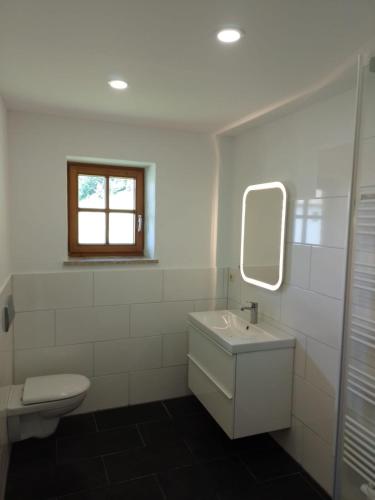 贝希特斯加登Bio Berghof Langerlehen的一间带水槽、卫生间和镜子的浴室