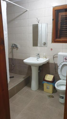 Vila Mitko的一间浴室