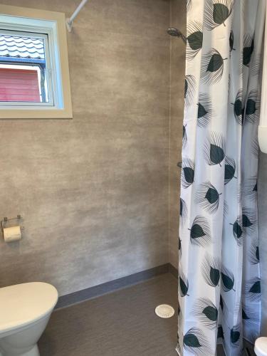 HammarHarge Bad & Camping的一间带卫生间和淋浴帘的浴室