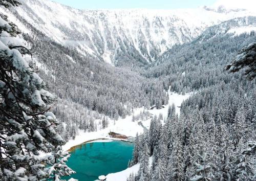 谷雪维尔Ecrin Blanc Resort Courchevel的相册照片