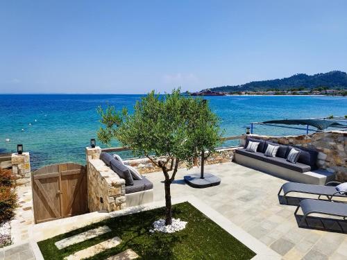 萨索斯Aura di mare luxury house Thassos的一个带沙发和水边树的庭院