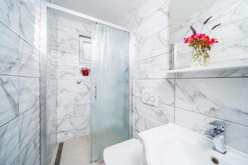 诺维格勒伊斯特拉Leonardo House的带淋浴、卫生间和盥洗盆的白色浴室
