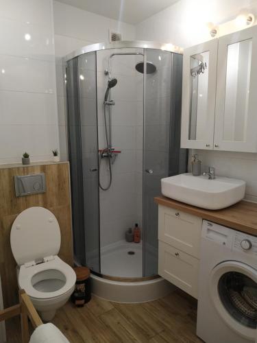 格但斯克Uroczy apartament nad morzem Gdańsk的带淋浴、卫生间和盥洗盆的浴室