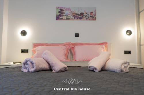 Central lux house平面图