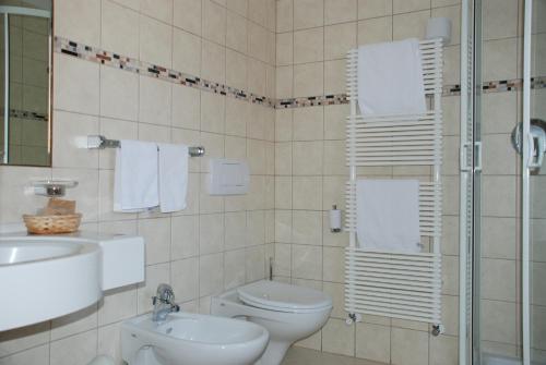 塞尔瓦迪加尔代纳山谷弗洛拉酒店的一间带卫生间和水槽的浴室