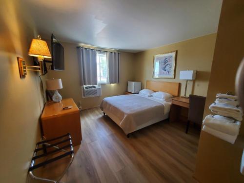 帕戈萨斯普林斯阿尔卑宾馆 的一间卧室配有一张床和一张带台灯的书桌