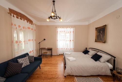 扎雷克Apartment Island Country House in Savinja Valley的客厅配有床和蓝色沙发