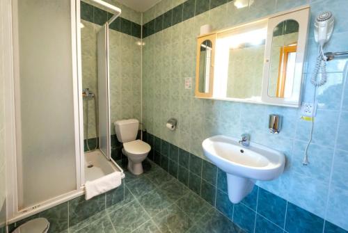 奥尔利采河畔乌斯季乌诺酒店的一间带水槽、卫生间和淋浴的浴室