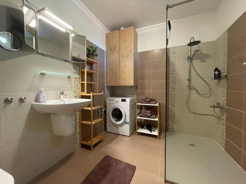 赫维兹Appartement Mezzanine的一间带水槽和洗衣机的浴室