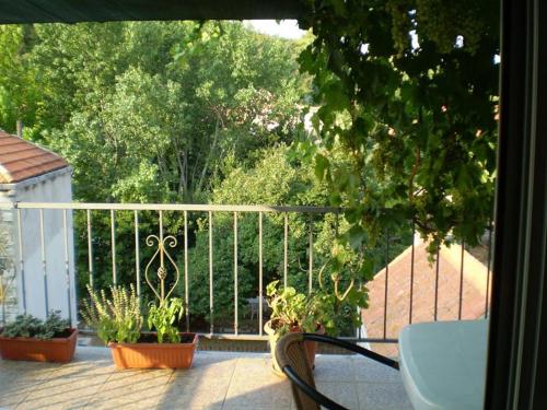 拉斯托伏Apartment Brezak的阳台种有盆栽植物和围栏