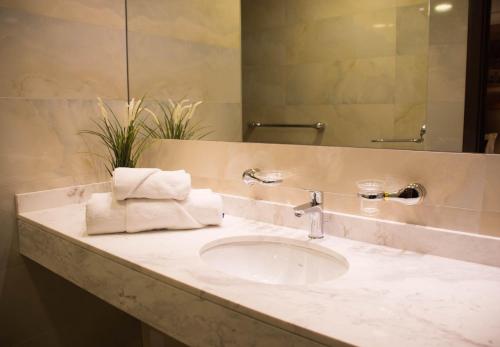 贝尔格莱德Xenon Hotel & SPA的浴室的柜台设有水槽和镜子