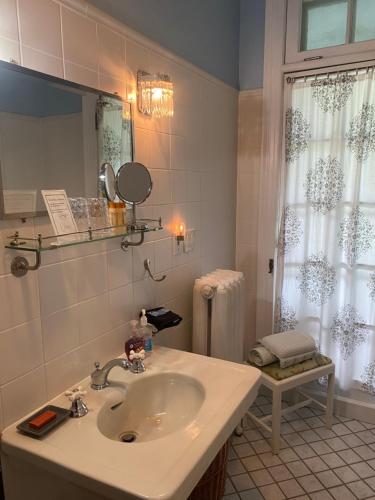 贝尔维尔蒙特罗斯住宿加早餐旅馆的一间带水槽和镜子的浴室
