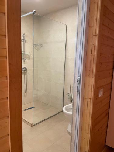 乌雷基Cottage Gageta的一间带卫生间的浴室内的玻璃淋浴间