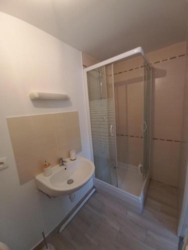 布尔日COQUETTE MAISONNETTE的带淋浴和盥洗盆的浴室
