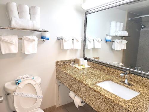 弗吉尼亚海滩Ocean Resort的一间带卫生间、水槽和镜子的浴室