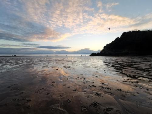 斯旺西Caswell Beach Chalet 70 located in Gower Peninsula的海面上飞着鸟的海滩