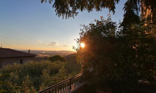 阿西西Assisi Garden Suite的夕阳,阳光照耀着树