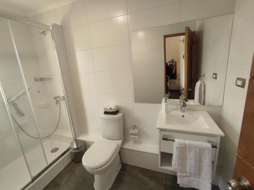 康塞普西翁Hotel Le Petit的浴室配有卫生间、淋浴和盥洗盆。