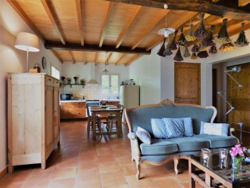 迪拉斯Charming house with private spa的一间带蓝色沙发的客厅和一间厨房