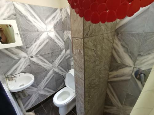 赫卢赫卢韦Hluzu Guest House的一间带卫生间和水槽的浴室