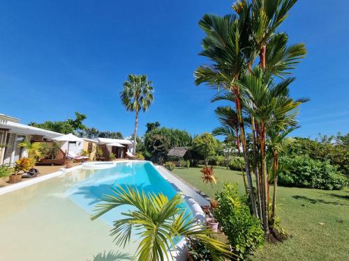 AmbaroVilla Tonga Soa的一座棕榈树环绕的游泳池